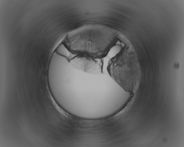 X0000090911425200708270956