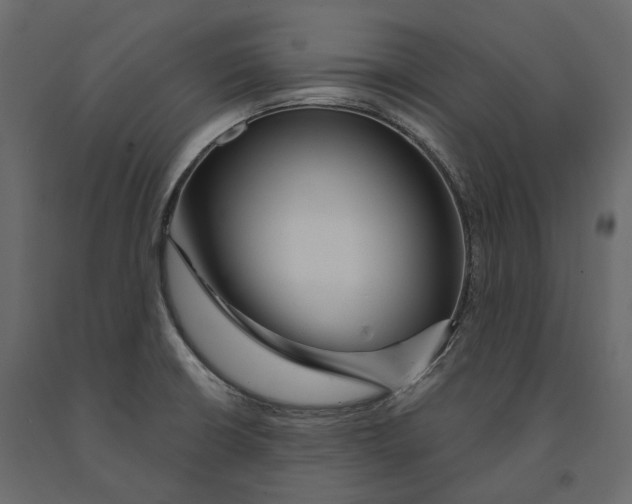 X0000090911426200708270956