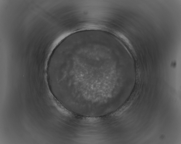 X0000090911427200708270956