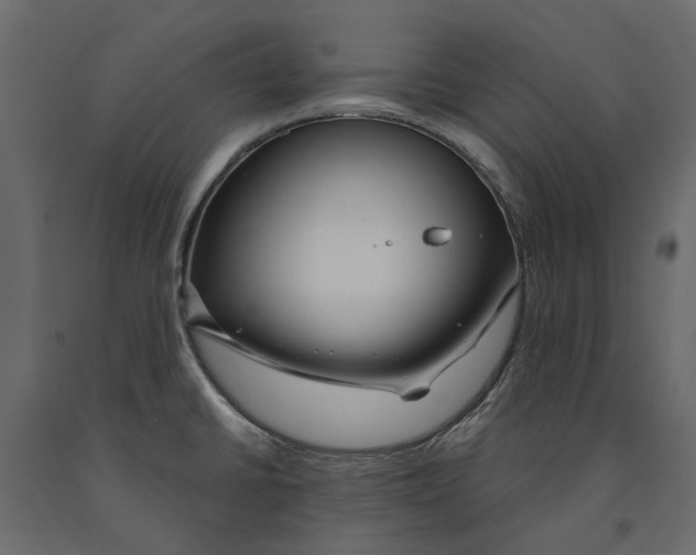 X0000090911430200708270956