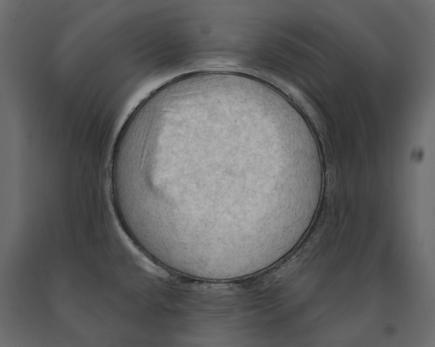 X0000090911432200708270956