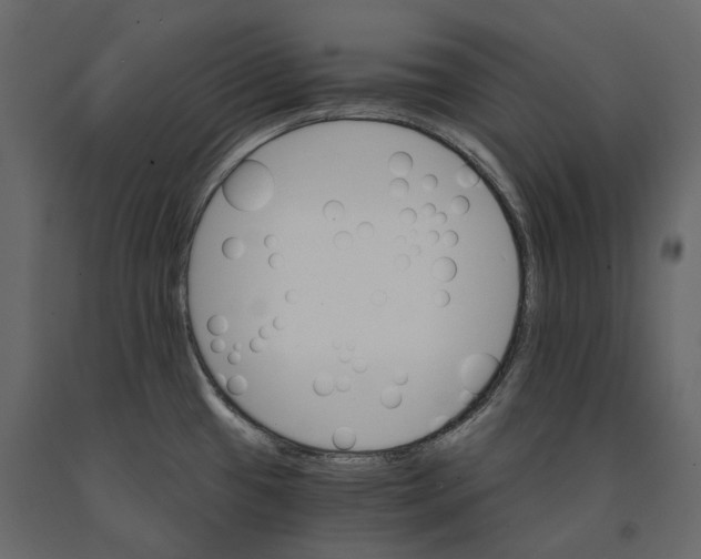 X0000090911433200708270956