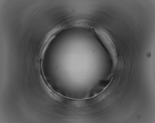 X0000090911434200708270956