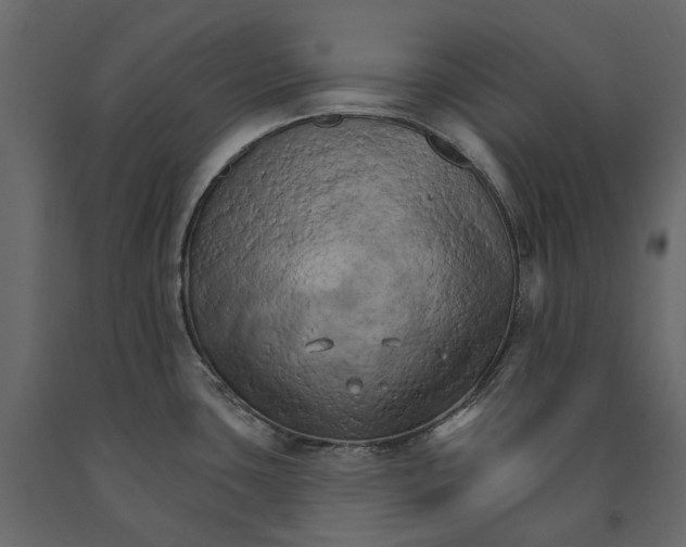 X0000090911435200708270956