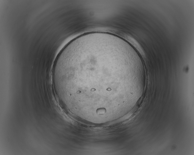 X0000090911436200708270956