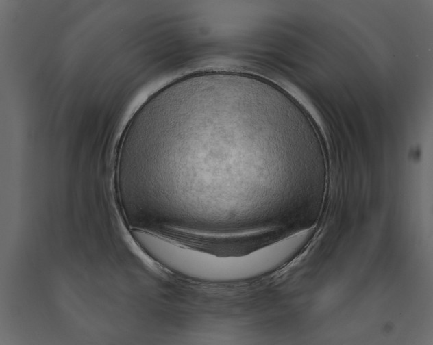 X0000090911437200708270956