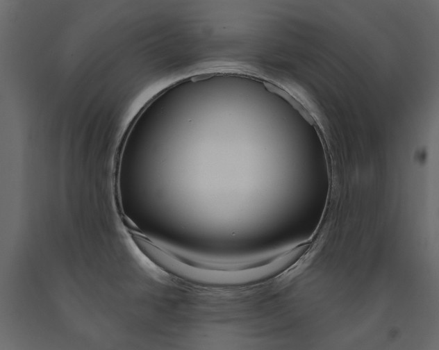 X0000090911438200708270956