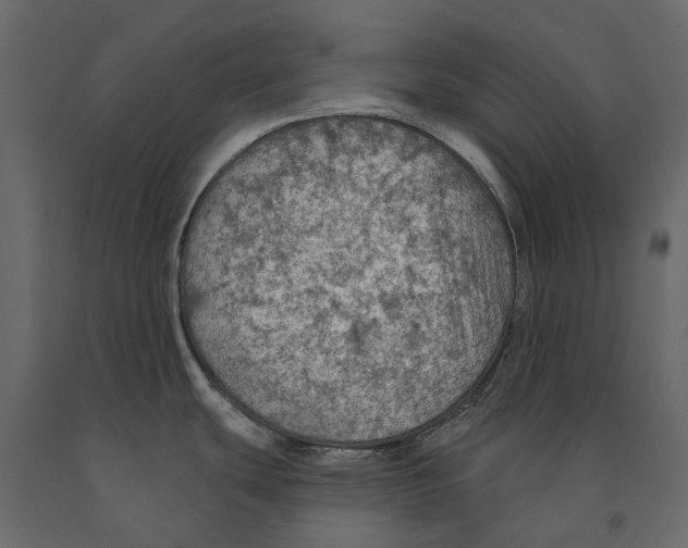 X0000090911439200708270956