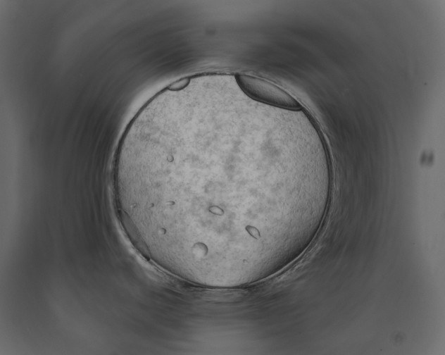 X0000090911440200708270956