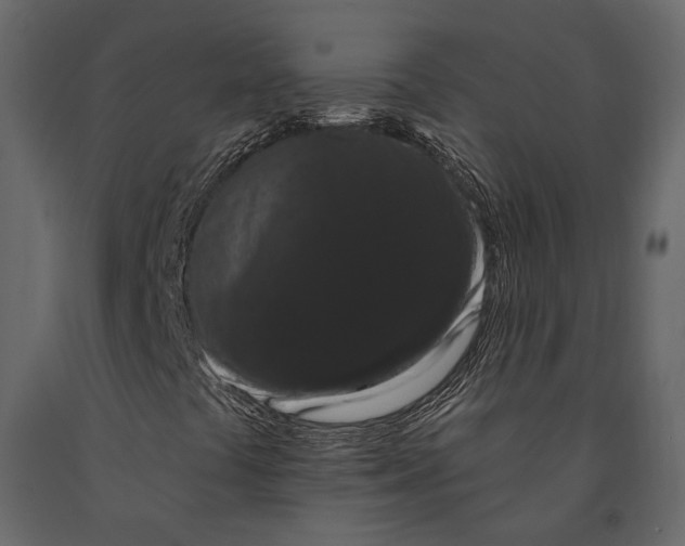 X0000090911441200708270955