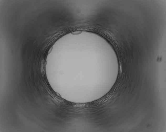 X0000090911444200708270955