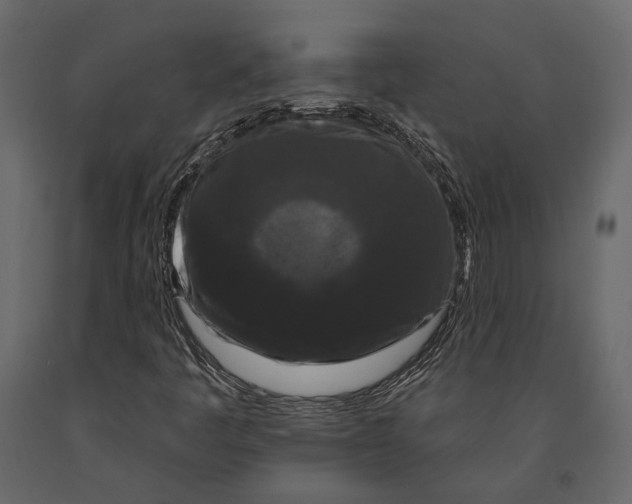 X0000090911445200708270955