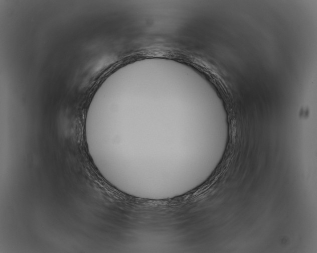 X0000090911446200708270955