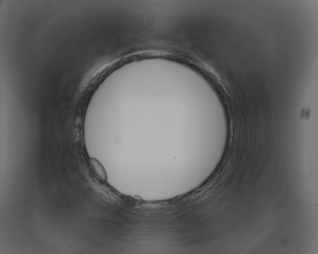 X0000090911448200708270955