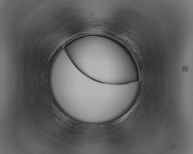 X0000090911449200708270955