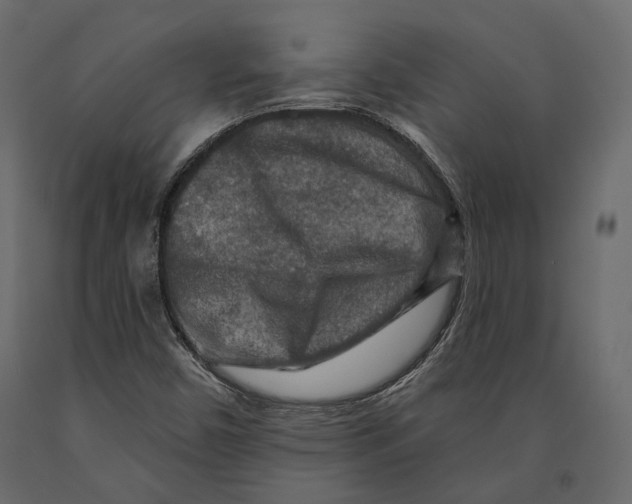 X0000090911450200708270955