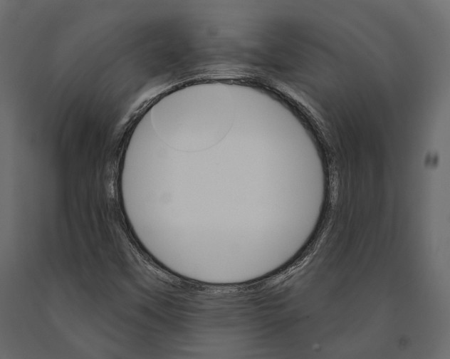 X0000090911451200708270955