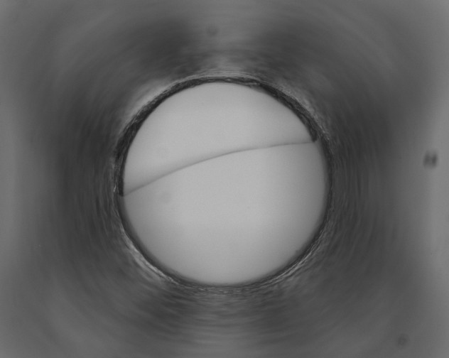 X0000090911452200708270955