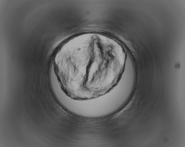 X0000090911453200708270955