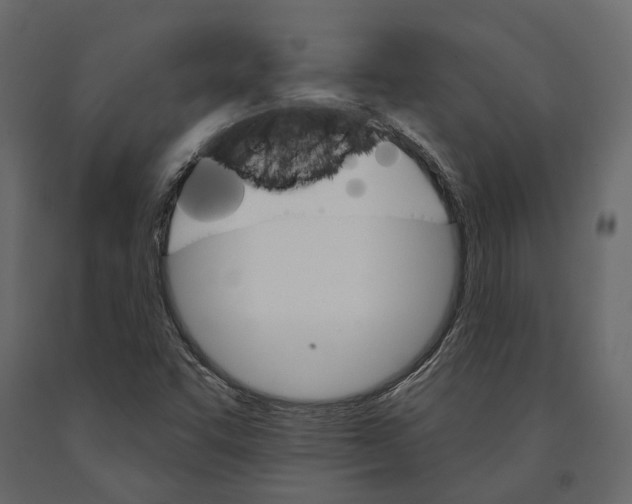 X0000090911455200708270955