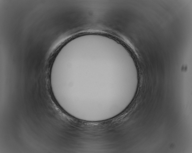 X0000090911456200708270955