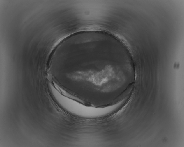 X0000090911457200708270955