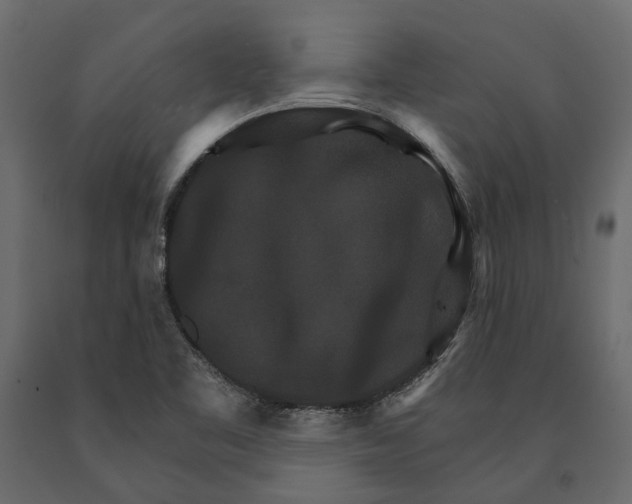 X0000090911461200708270955