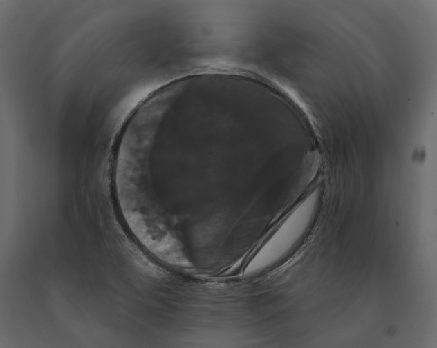 X0000090911463200708270955