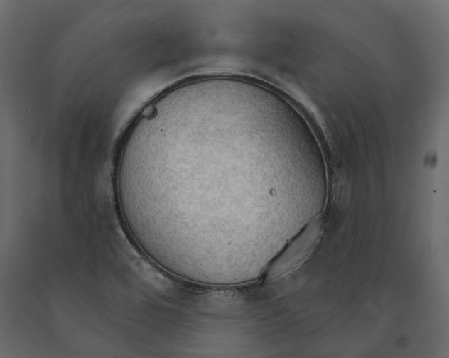 X0000090911464200708270955