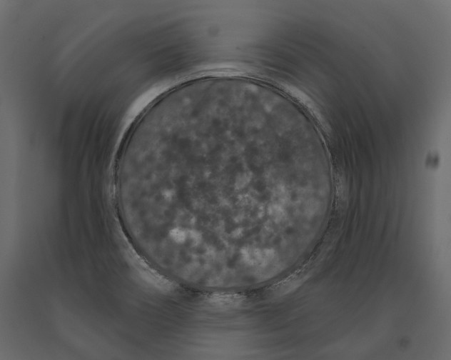 X0000090911466200708270955