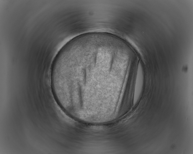 X0000090911468200708270955