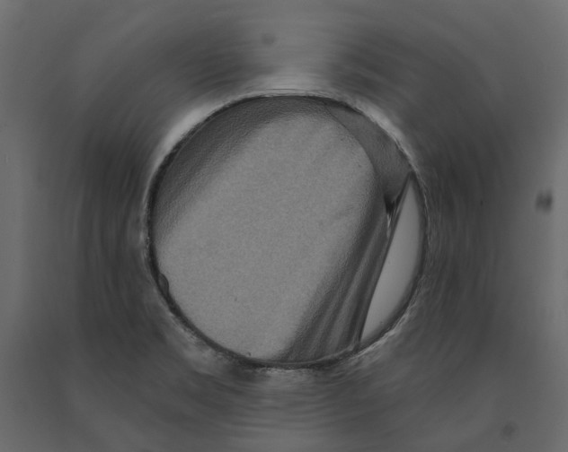 X0000090911469200708270955