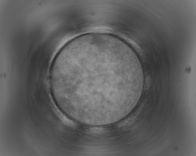 X0000090911470200708270955