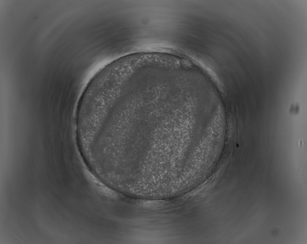 X0000090911471200708270955