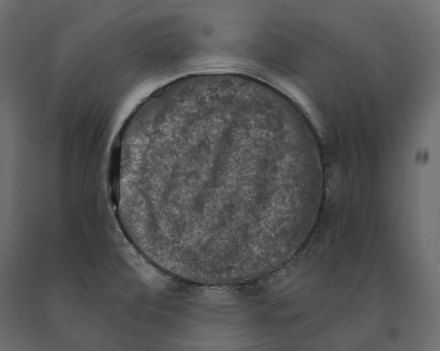 X0000090911472200708270955