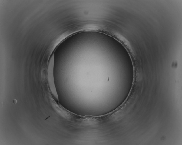 X0000090911473200708270955