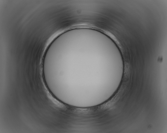 X0000090911474200708270955