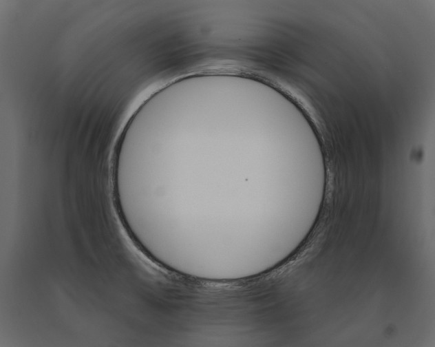 X0000090911475200708270955