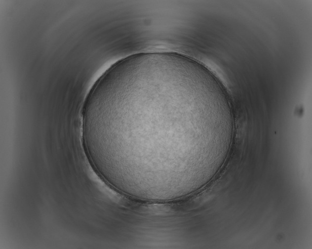 X0000090911476200708270955