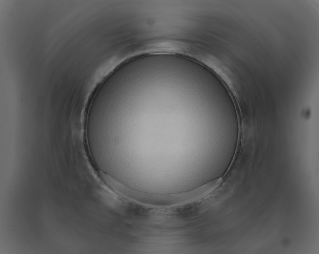 X0000090911477200708270955