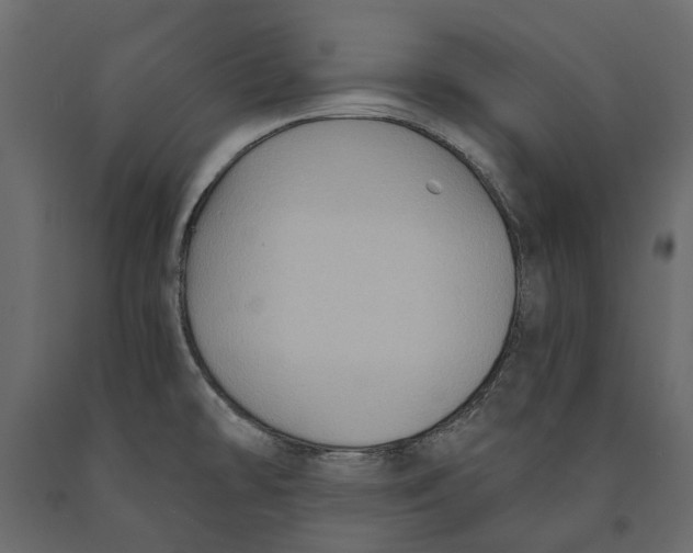 X0000090911478200708270955