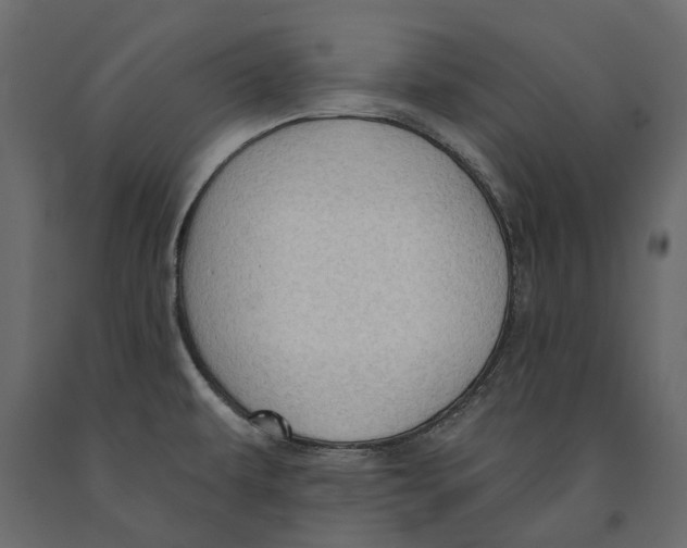 X0000090911479200708270955