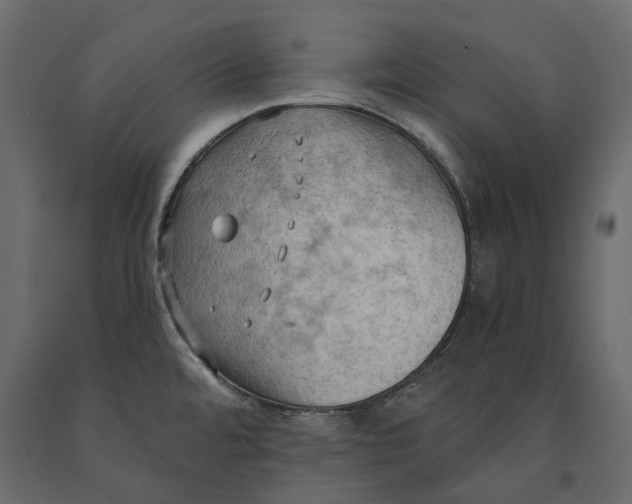 X0000090911480200708270955