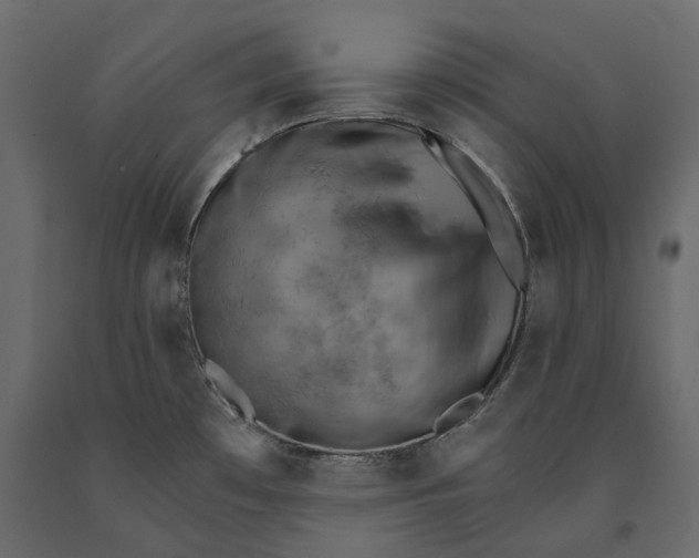 X0000090911481200708270955