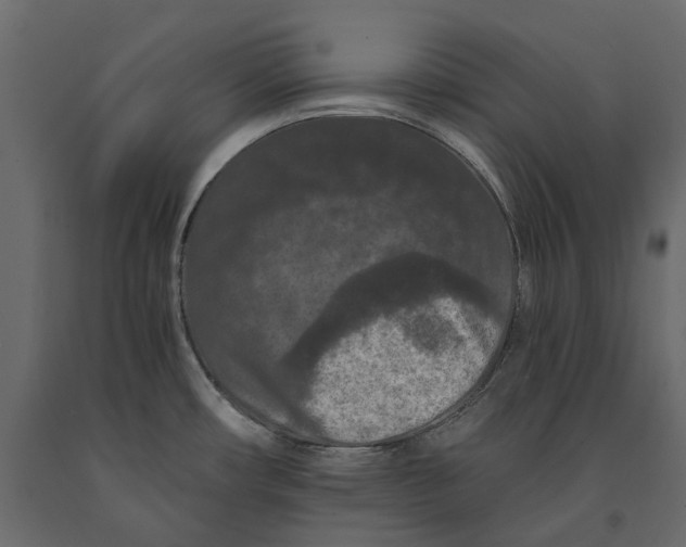 X0000090911482200708270955