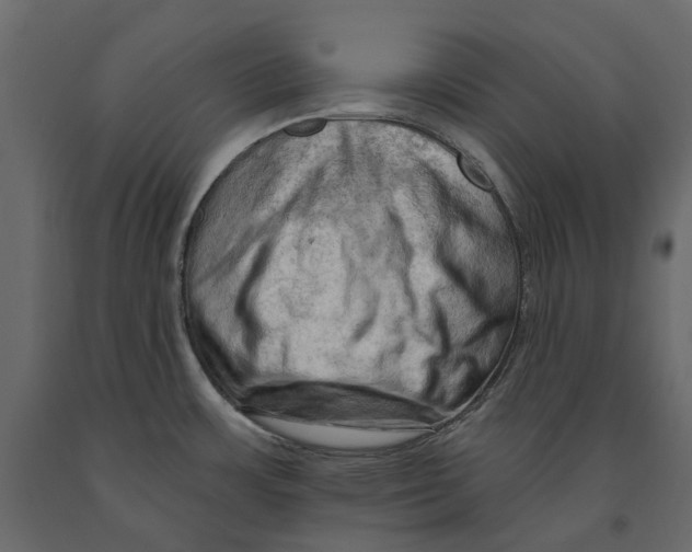 X0000090911483200708270955