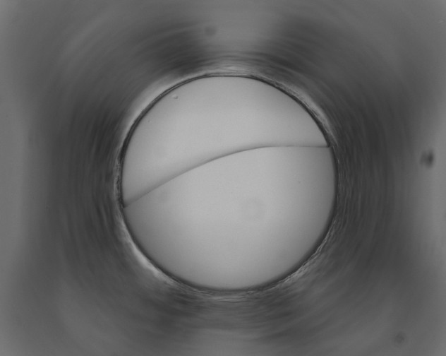 X0000090911484200708270955