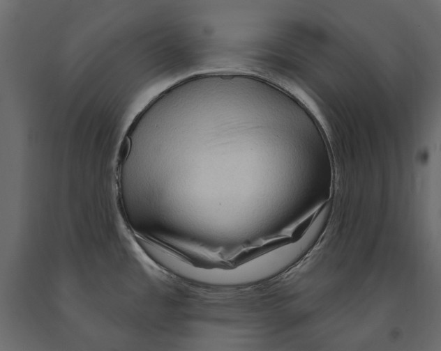 X0000090911485200708270955