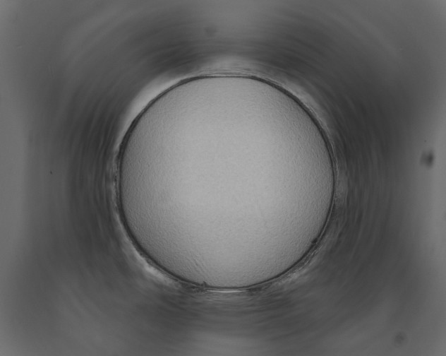 X0000090911486200708270955