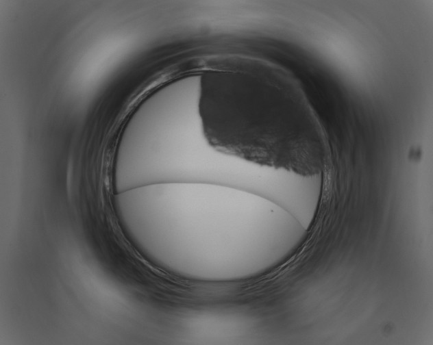 X0000090911487200708270955